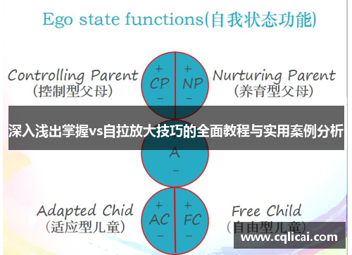 深入浅出掌握vs自拉放大技巧的全面教程与实用案例分析